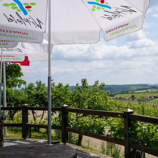 Weingut Lother, Hof