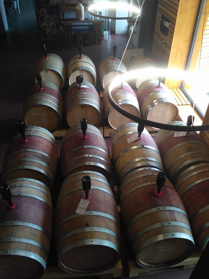 Weingut Lother, im Weinkeller