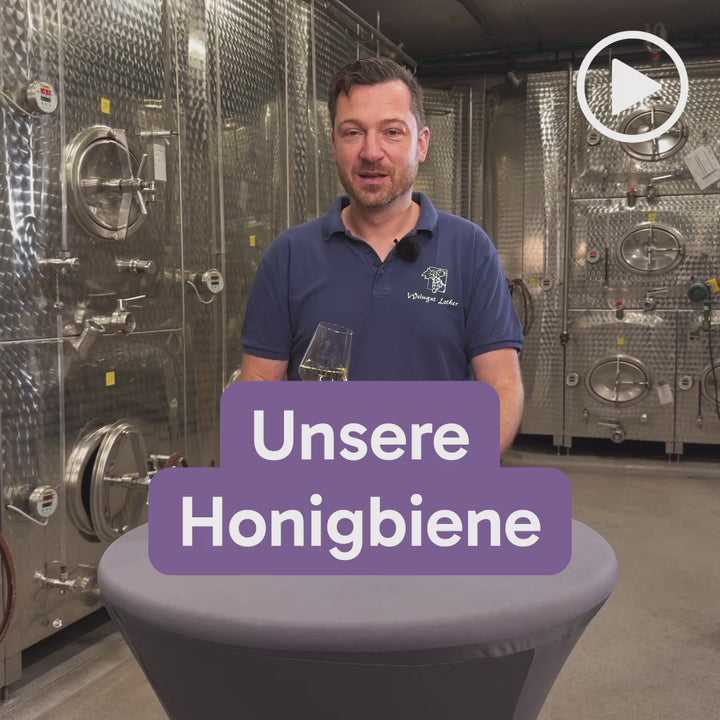 Solaris Auslese 0,5l