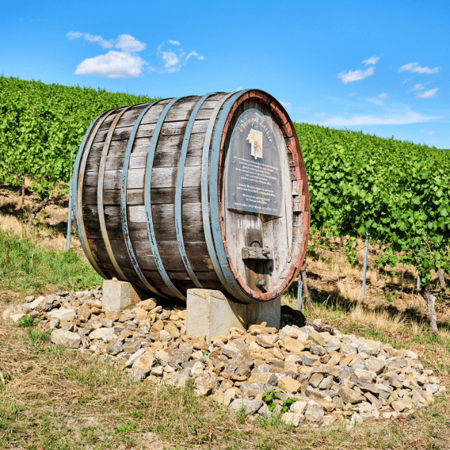 Weingut Lohter, historisches Fass im Weinberg