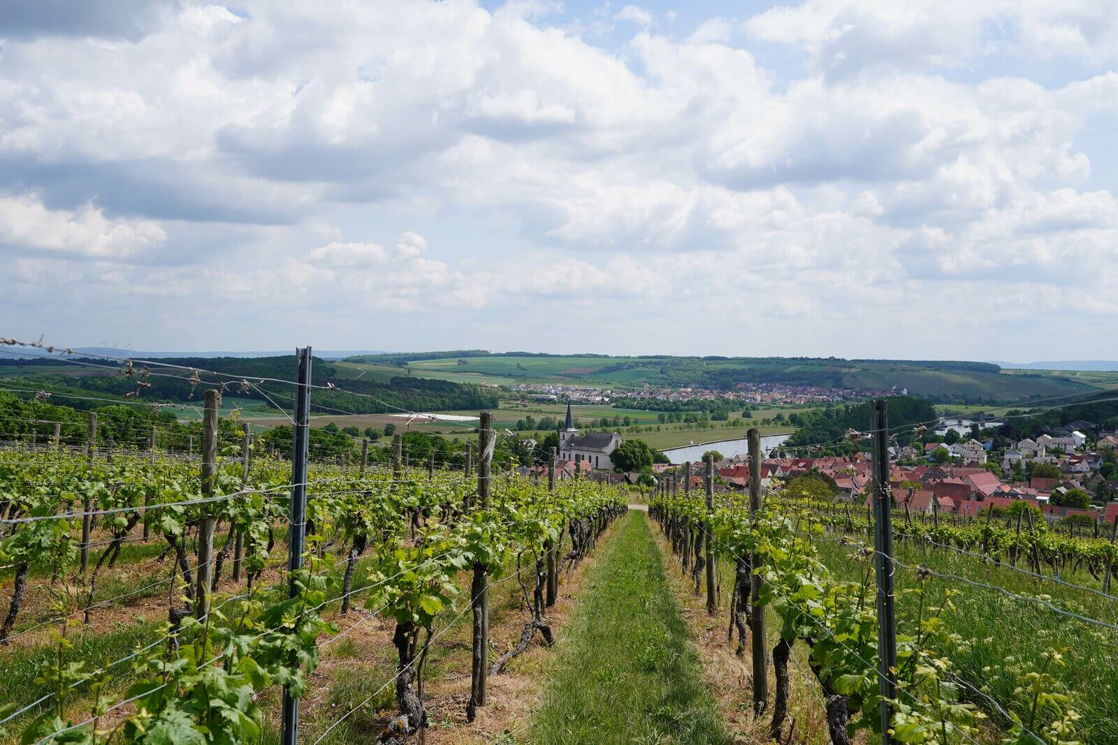 Weingut Lother Weinberg Aussicht