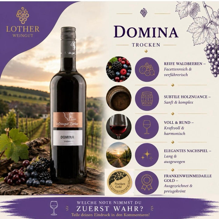 Domina QbA trocken 0.75L