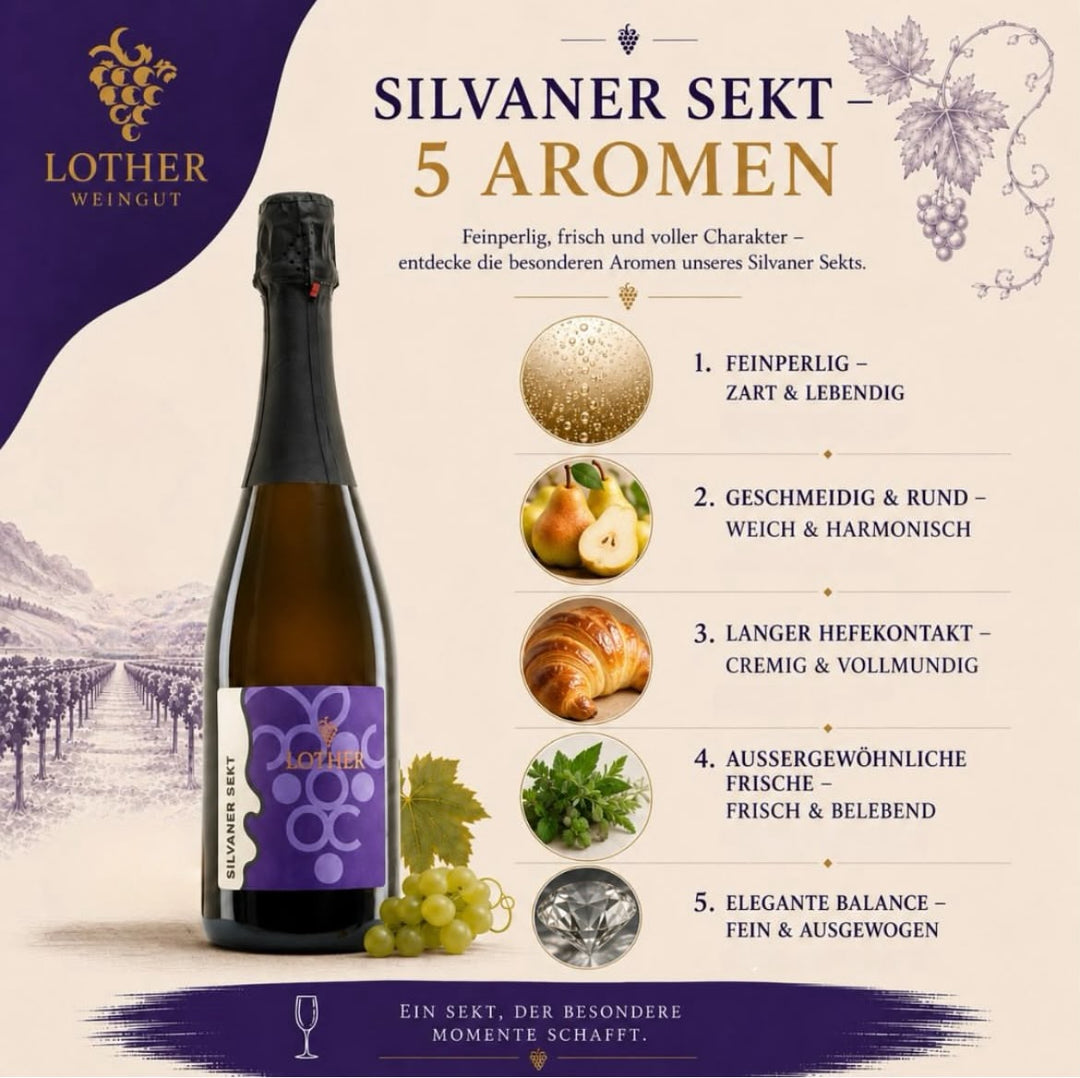 Wipfelder Zehntgraf Silvaner Sekt b. A. extra trocken 0.75L